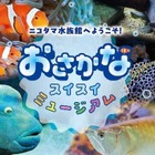 【夏休み2024】玉川高島屋S・C「ニコタマ水族館」8/16-9/1