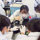 【とっておきの私立中学校2025】明治学院中学校…社会へとつながる教科の学びを実感 画像