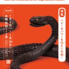 【冬休み2025】東京国立博物館、巳年ちなみ「博物館に初もうで」 画像