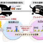 妊娠中の喘息・子供の喘息悪化のメカニズム解明…九州大 画像