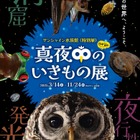 サンシャイン水族館、真夜中の生き物展 画像