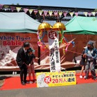 ホワイトタイガー赤ちゃん、観覧者20万人達成…東武動物公園