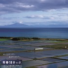 JR「青春18きっぷ」7/4発売…北海道新幹線オプション券も