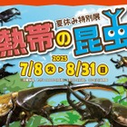 【夏休み2025】世界最大級のカブトムシに会える…板橋の植物館で特別展