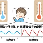 京大・理研、体内時計の新たな仕組みを解明