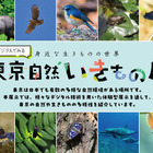 【夏休み2025】デジタルでみる東京自然いきもの展8/2より