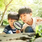 【夏休み2025】小中学生の自由研究テーマ紹介…明光プラス
