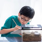 【夏休み2025】自由研究、親はどこまでサポート？84%の家庭が実践する子供主体の進め方