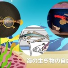 【夏休み2025】「海とさかな」自由研究・作品コンクール、9/26応募締切