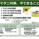 マダニ感染症患者が135人に増加…マダニ対策、今できること