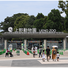 動物園・美術館など22施設が無料「都民の日」10/1
