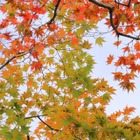 【中学受験】今週末行ける首都圏中高一貫「学校見学」11/22-24…豊島岡女子、青山学院横浜英和など