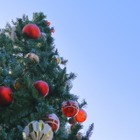 【中学受験】今週末行ける首都圏中高一貫「学校見学」12/6-7…巣鴨など10校