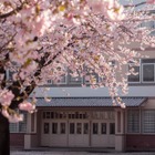 【中学受験2026】今年の人気校は？ねらい目校は？…過去問の売れ行き前年比較で探る注目校＜共学校編・後編＞