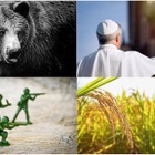 【中学受験2026】速報11・12月実施の入試「時事問題」ローマ教皇・近年の紛争・コメ・熊など