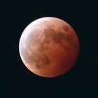 サンシャイン60展望台「ワームムーン」と皆既月食の観賞会3/3