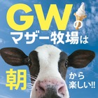 【GW2026】マザー牧場、GWは早朝から開園…羊200頭の大放牧も