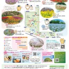 【GW2026】フラワーフェスティバル、国営昭和記念公園5/24まで