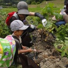 ホテル日航東京で食育イベント…親子でリサイクルエコ野菜作りを体験 画像