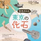 特別展「発見された東京の化石」日比谷図書文化館で8/29から