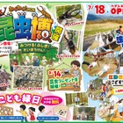 【夏休み2026】約100匹が集結「昆虫博」富士見台高原