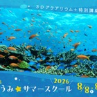 【夏休み2026】横浜で沖縄の海を体験、つるみ・ちゅらうみサマースクール8/8-9