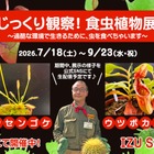 【夏休み2026】伊豆シャボテン動物公園「食虫植物展」7-9月…自由研究にも