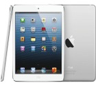 auでもiPadの販売をスタート、iPad mini＆第4世代 iPad近日中に発売 画像