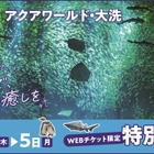 大洗水族館「東京都民の日」にあわせて割引キャンペーン
