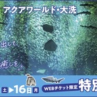 アクアワールド大洗「埼玉県民感謝デー」入館料割引