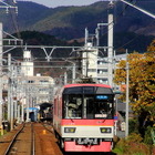 叡山電車のまわりで11/10−30、紅葉ライトアップ 画像