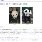 上野動物園、パンダの来園日決定＆保護サポート基金募集 画像