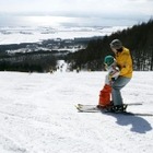 猪苗代スキー場、初心者リフトが無料・乗り放題 画像
