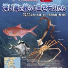 千葉県・海の博物館、深海に関する企画展を2/16より開催 画像