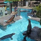上野動物園など都立動物園・水族園で春休みイベント満載 画像