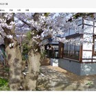 青森県の弘前公園や大阪の造幣局の桜がグーグルストリートビューに登場 画像