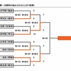 【高校野球】センバツ決勝戦、浦和学院と済美が対戦 画像