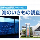 須磨海浜水族園でお泊り教室…漁師体験や水槽前で就寝 画像