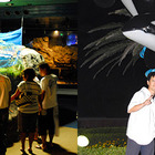 鴨川シーワールド、夏休みに夜の水族館を探検する「ナイトアドベンチャー」 画像