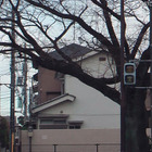 東京電力、24日の第2～4Gの実施は見送り 画像