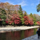 紅葉が美しいオススメ観光スポットランキング、1位「伊勢神宮内宮」 画像
