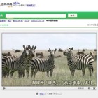 野生動物の生態を調べよう、Yahoo!百科事典にNHK映像を追加