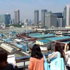 【夏休み】小学生向けバスセミナーで「市場」を学ぶ…東京都中央卸売市場 画像