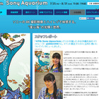 【夏休み】ソニービル、沖縄・慶良間諸島の生き物を水槽と映像で再現 画像