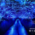 クリスマスまで中目黒でイルミネーション、目黒川を青く染める「青の洞窟」 画像