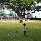 ハワイへの親子留学、母子で二人三脚の英語学習体験記 画像