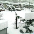 日本気象協会が選ぶお天気10大ニュース、1位は2月の記録的な大雪 画像