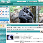 上野動物園「ゴリラ来日60周年記念イベント」1/24～25 画像