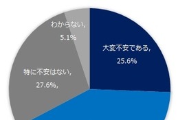 プログラミング教育必修化、就学前保護者の多くに不安と誤解…ShoPro 画像