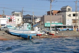 混雑を避けた観光型MaaSの実証実験、横須賀・三浦エリア 画像